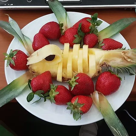 Evin Pensjonat 2*